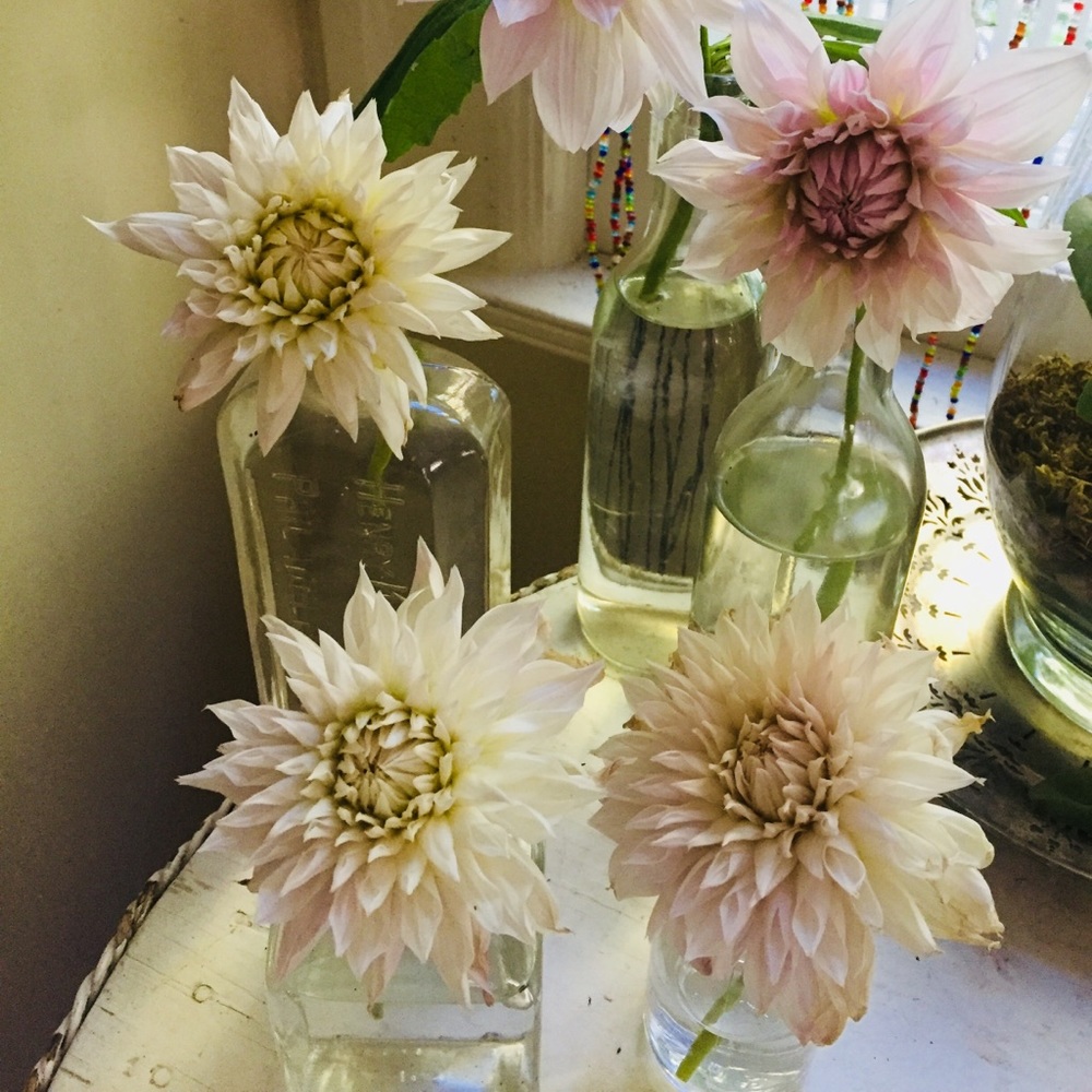 SpringTime🌸🤞 - Picture 14 of 16